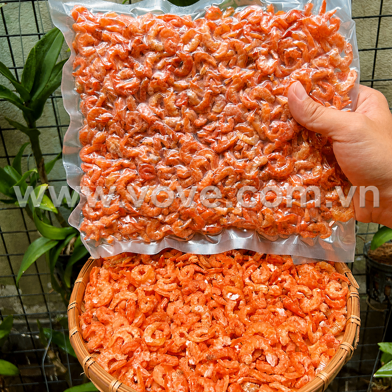 tom kho loai nho tom nau canh