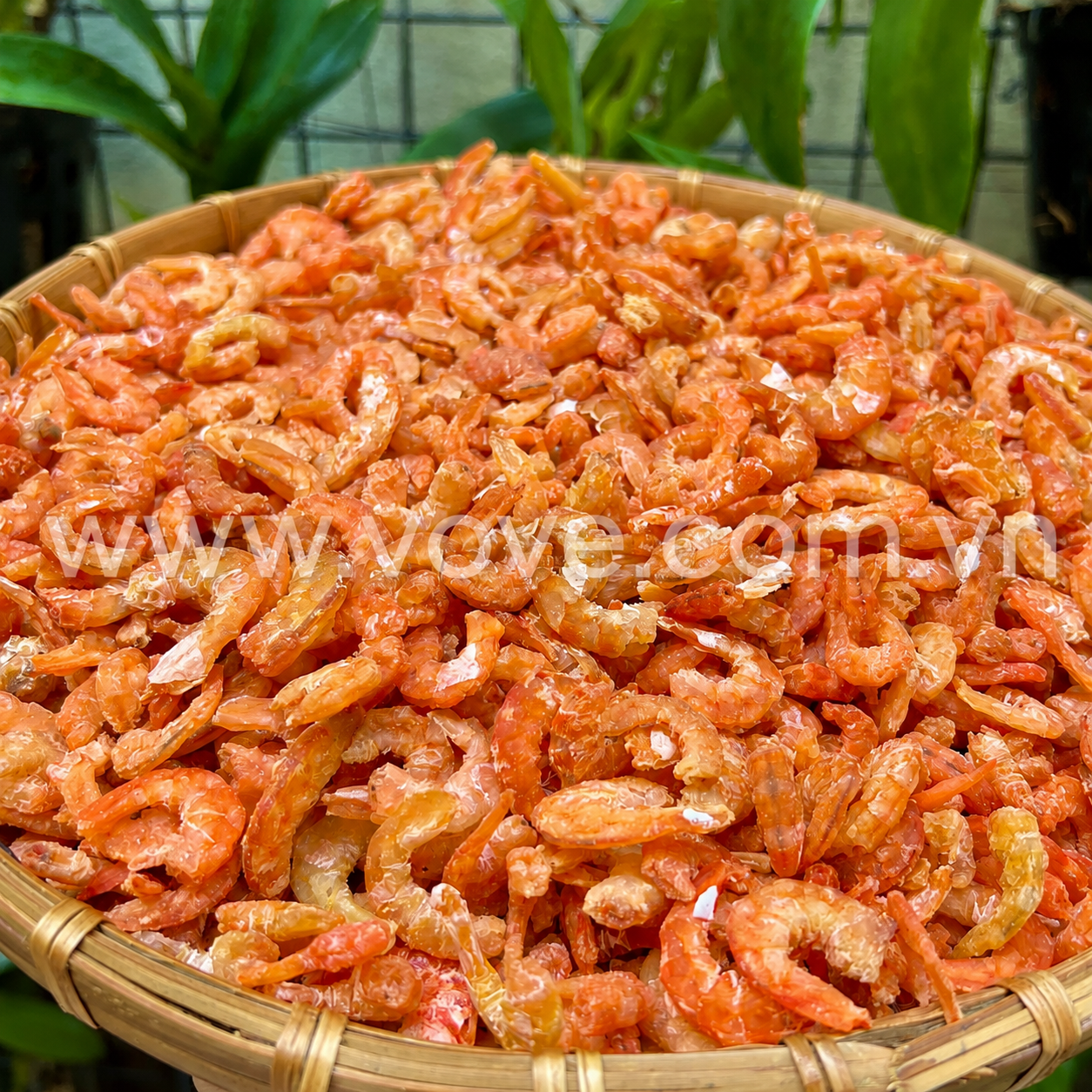 tom kho loai nho tom nau canh