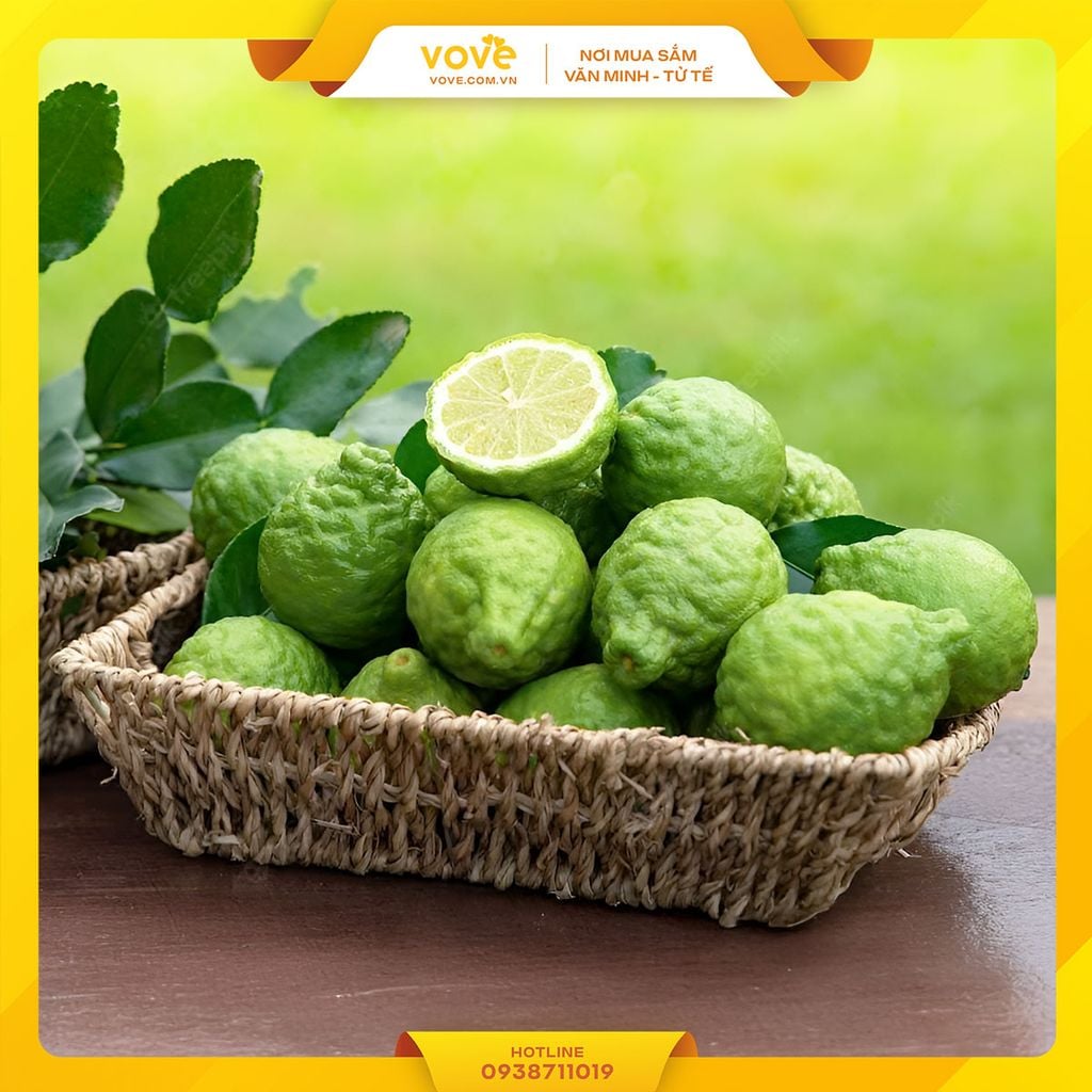 Trái Chúc Campuchia (Chanh Thái)