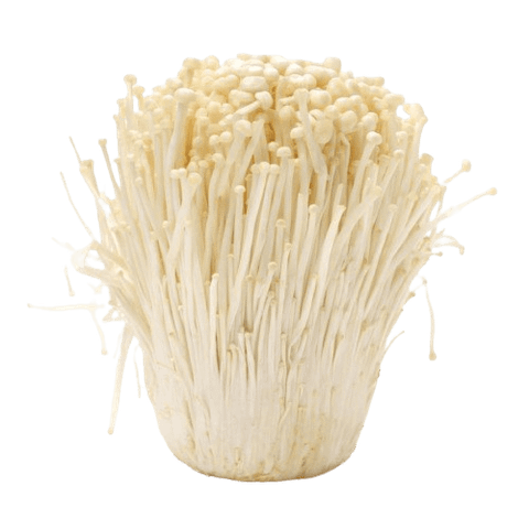 Nấm kim châm Organic Bắc Âu 150g