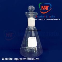 Bình tam giác Iodine 250ml