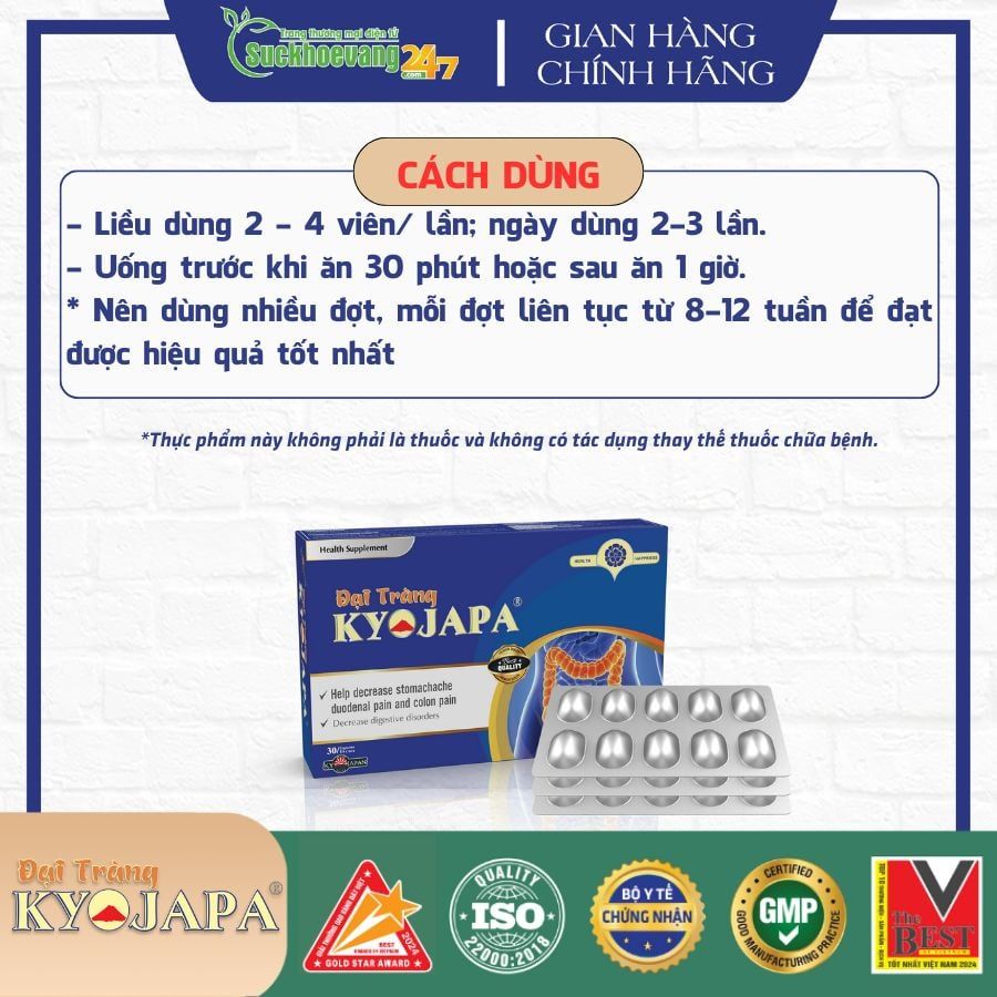 TPBVSK Đại Tràng Kyojapa