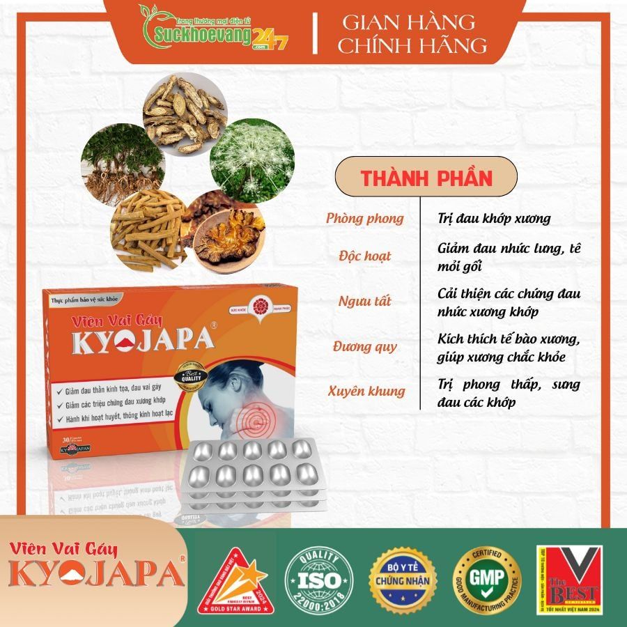 TPBVSK Viên Vai Gáy Kyojapa