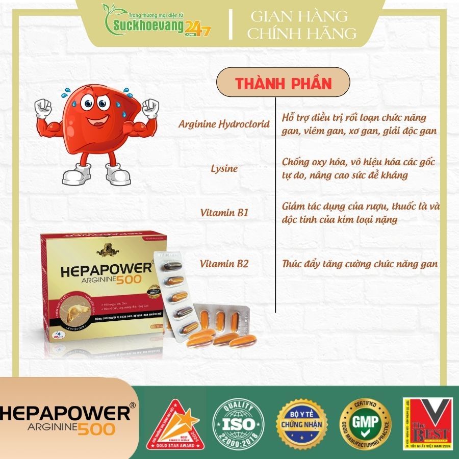 TPBVSK HEPAPOWER 500