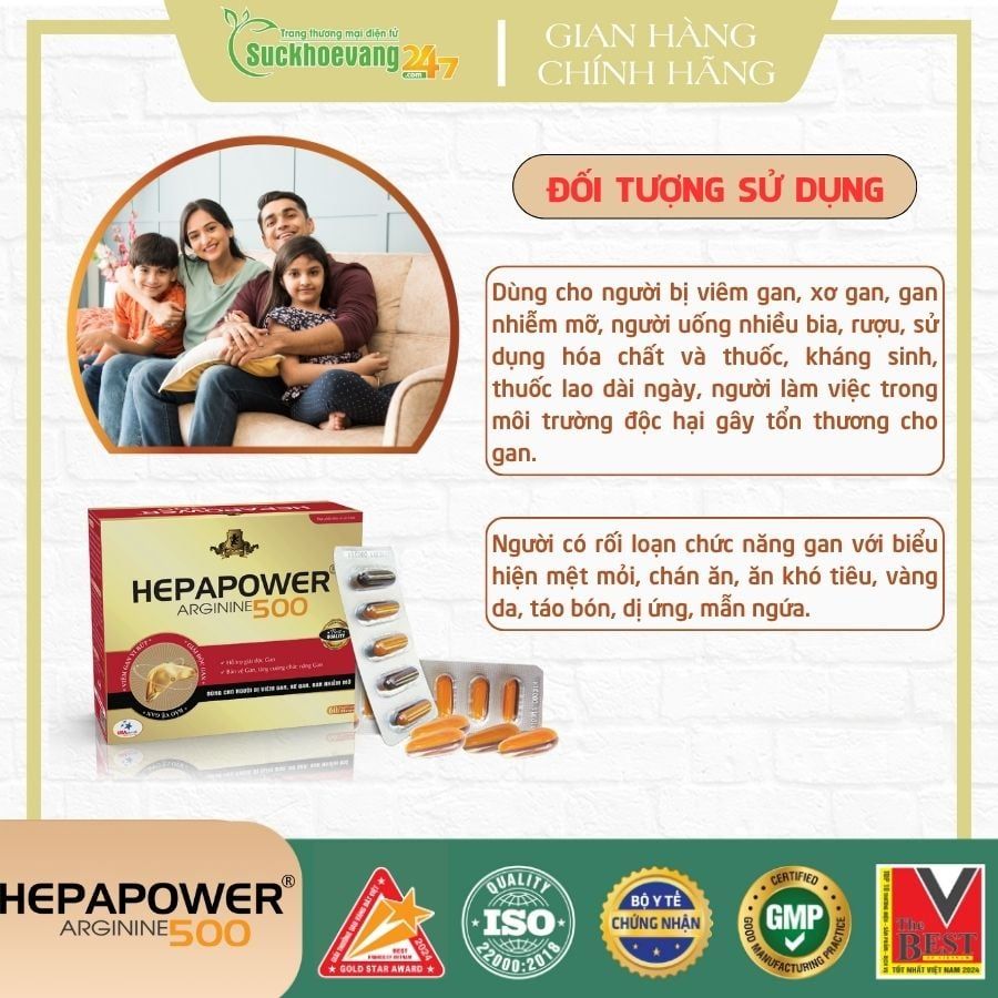 TPBVSK HEPAPOWER 500