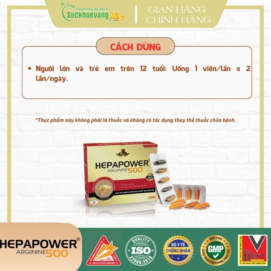 TPBVSK HEPAPOWER 500