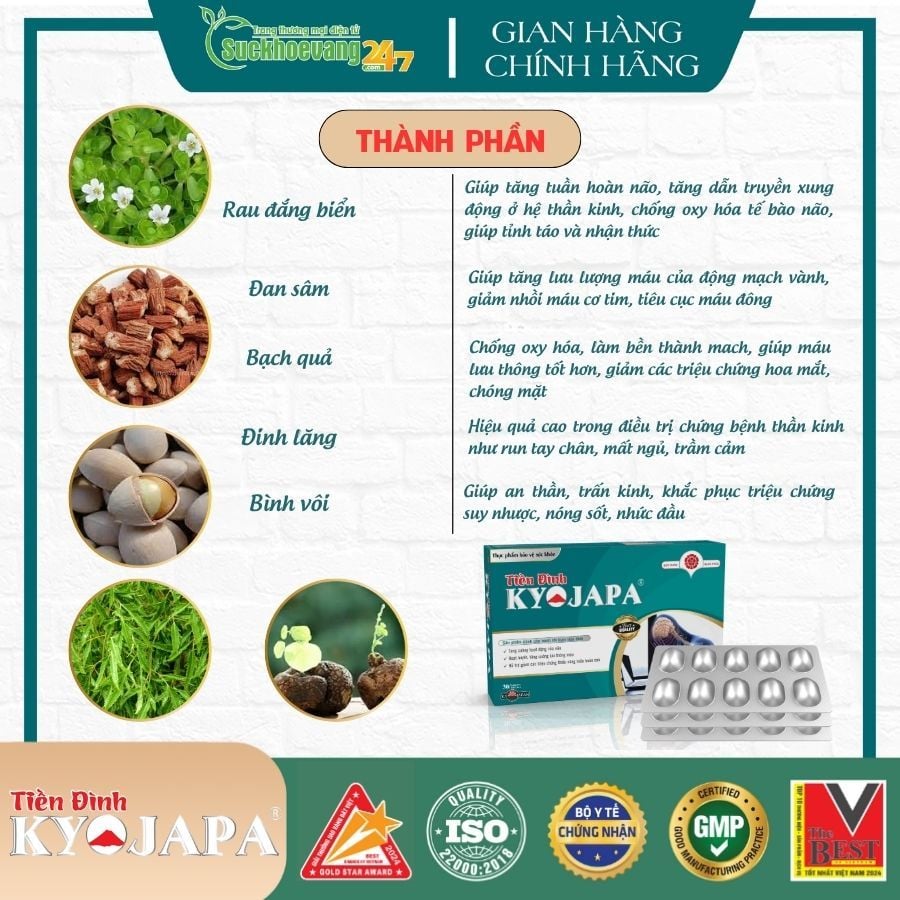 TPBVSK Tiền Đình Kyojapa