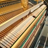 Đàn Piano Upright Yamaha U1G