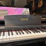 Đàn Piano Điện Louis LP-130A Brand New