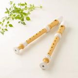 Sáo Recorder Yamaha YRS-402B