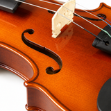 Đàn Violin Kapok V005