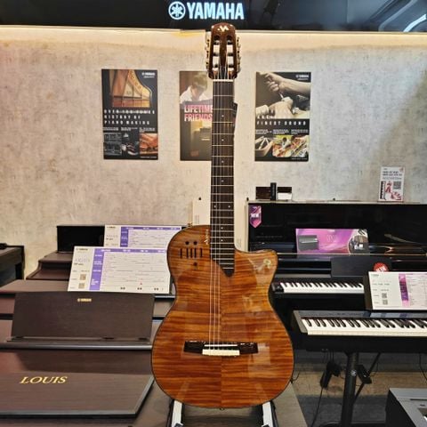 Đàn Guitar Silent Classic Murcia Stage Pro