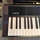 Đàn Piano Điện Louis LP-190B