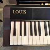 Đàn Piano Điện Louis LP-190