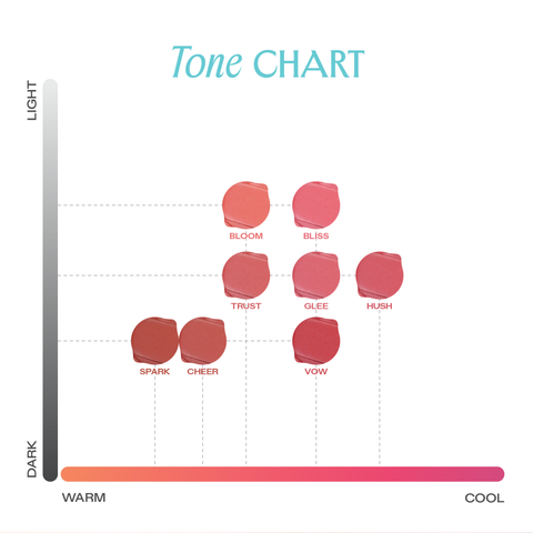  COMBO 02 SON BÙN ẨM MỜ MỊN LÂU TRÔI LEMONADE PERFECT COUPLE BLURRY STAIN LIP CREAM 