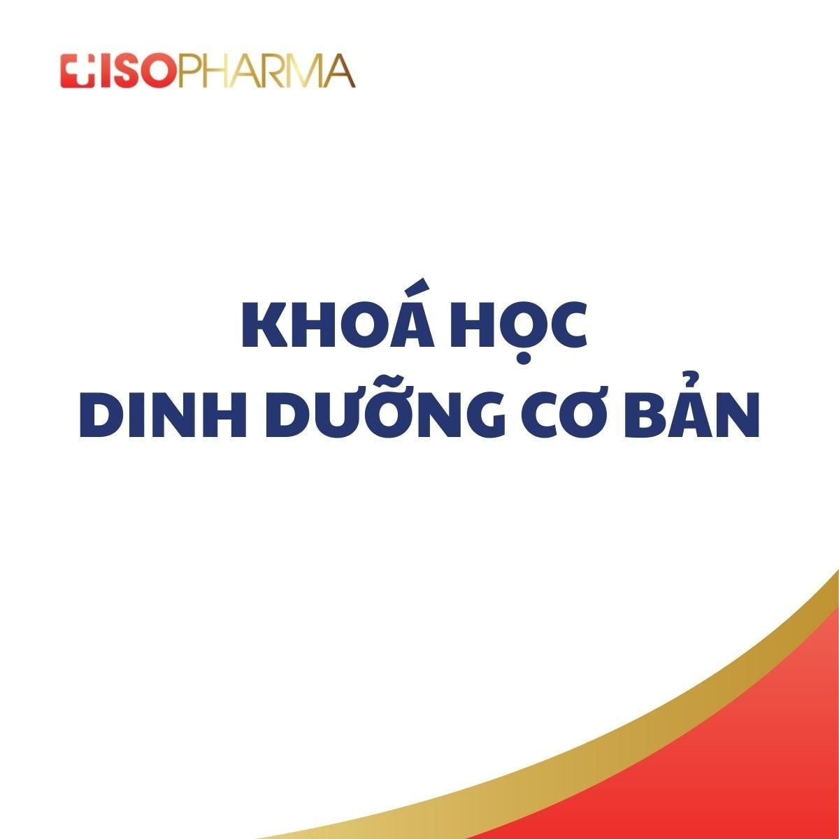 Dinh Dưỡng Cơ Bản