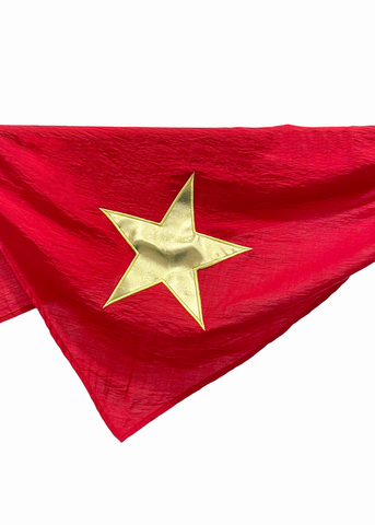 Khăn quàng yêu nước 2.9