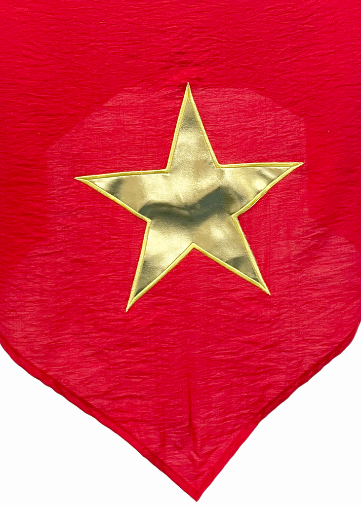 Khăn quàng yêu nước 2.9