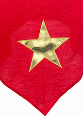 Khăn quàng yêu nước 2.9