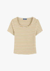 Áo Thun Nữ Cộc Tay Form Ôm Cổ Tròn - Chất Thun Tăm Co Giãn Tôn Dáng