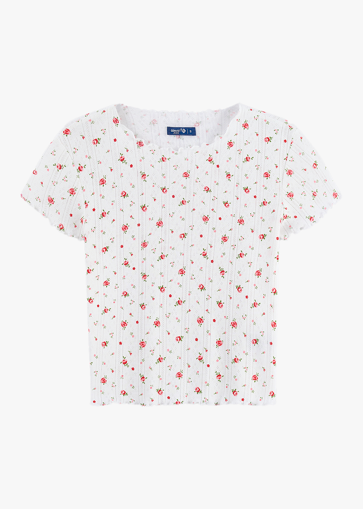 Áo Thun Nữ Cộc Tay Croptop - Thun Gân Co Giãn, Nhẹ Nhàng Vintage