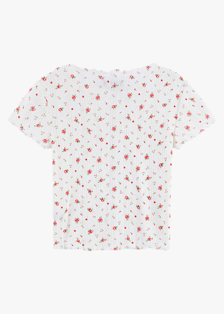 Áo Thun Nữ Cộc Tay Croptop - Thun Gân Co Giãn, Nhẹ Nhàng Vintage