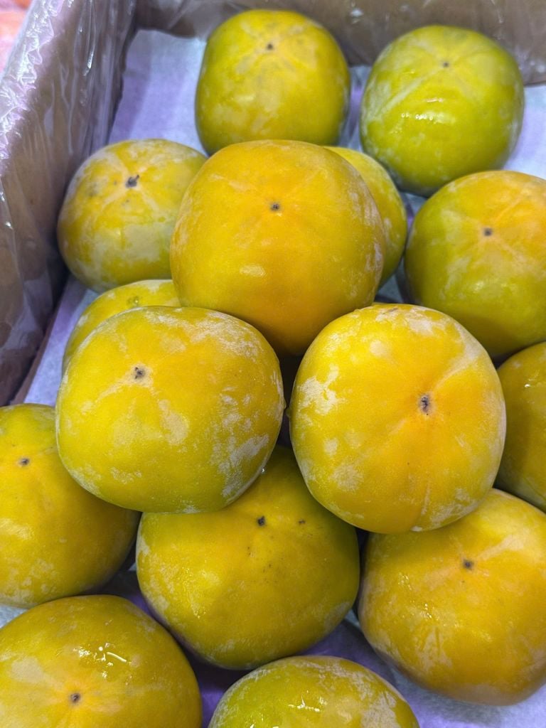 Hồng Mật Socola - Hộp 1kg