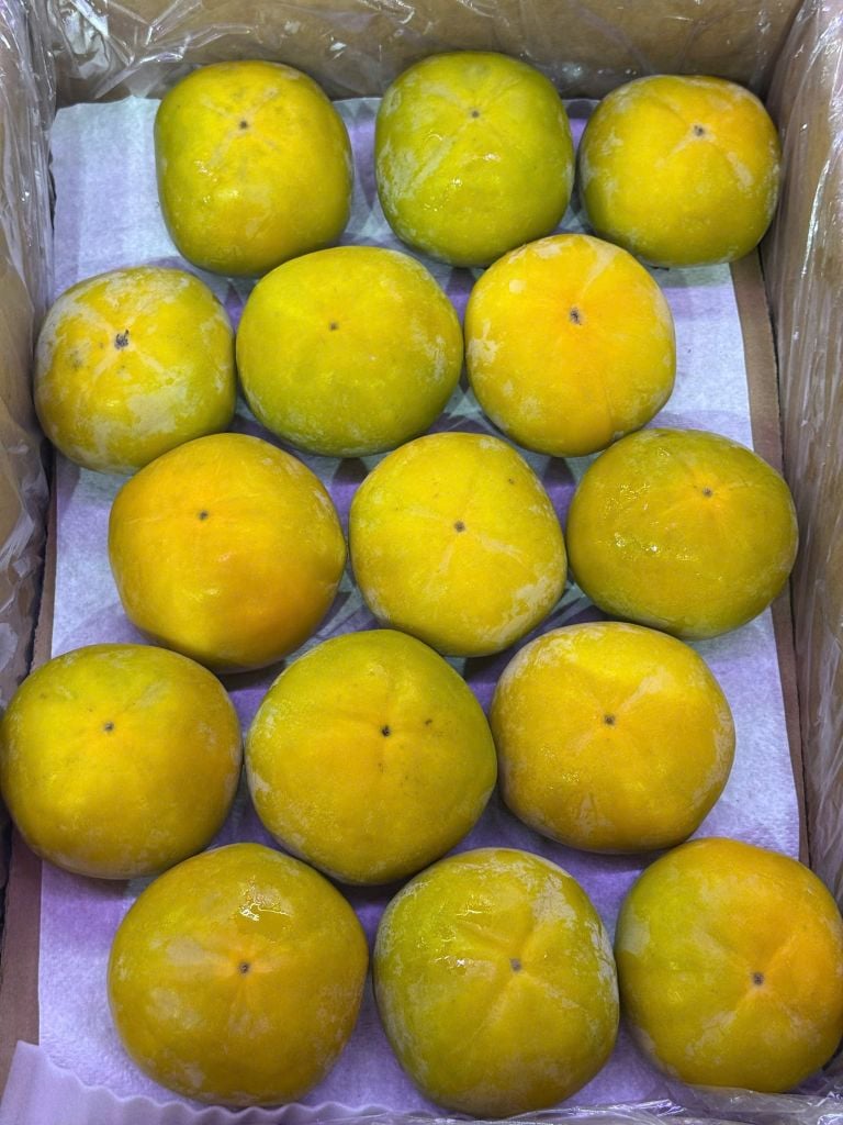 Hồng Mật Socola - Hộp 1kg