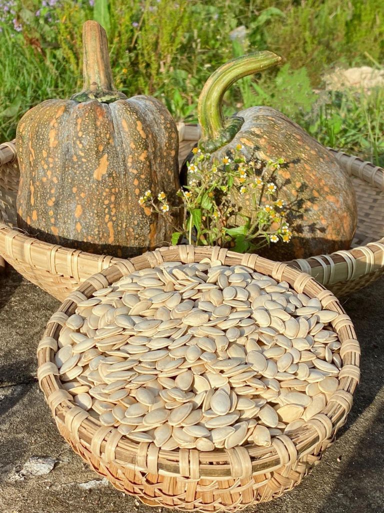 Hạt Hướng Dương Tuấn Khang - 250g