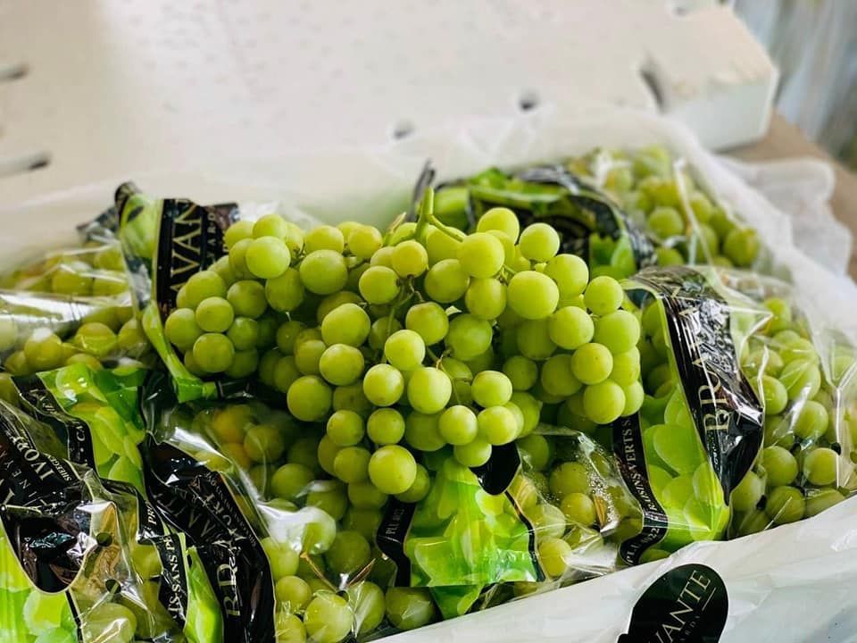 Nho Xanh Mỹ Ivory Bravante - 900gr