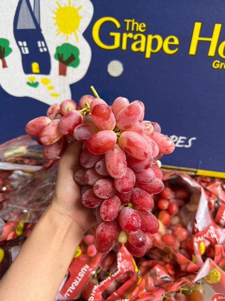 Nho Đỏ Dài Crimson – Hộp 900gr