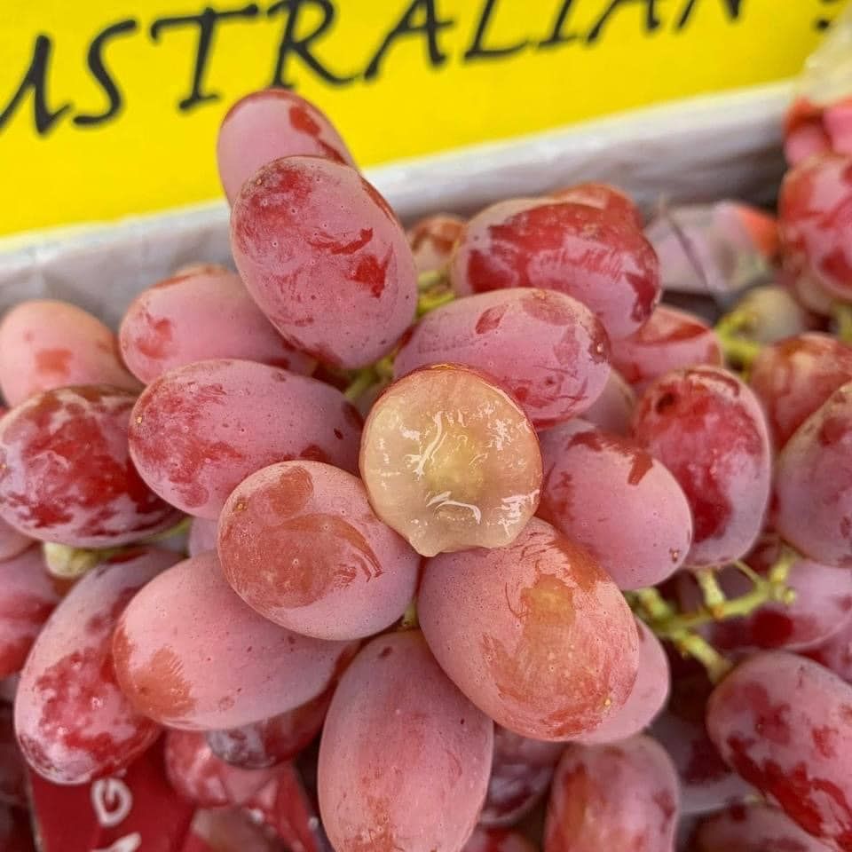 Nho Đỏ Dài Crimson – Hộp 900gr