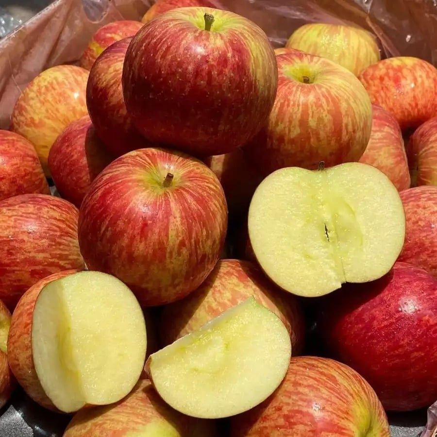 Táo Nam Phi Core  – Túi 1.5kg