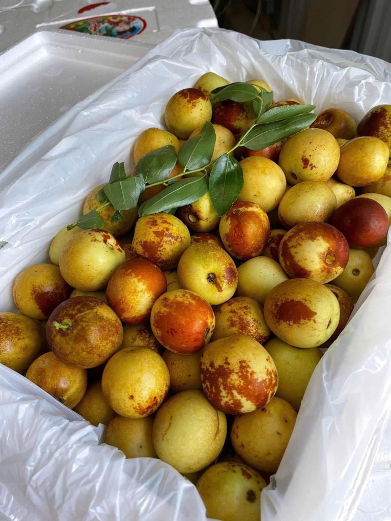 Hồng Táo Tươi Vip - 500G
