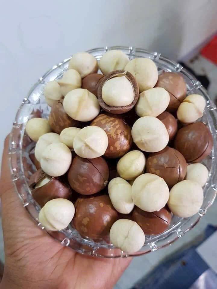 Hạt Macca Hưng Phát – Bịch 500g