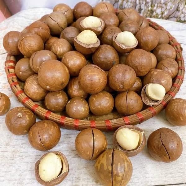 Hạt Macca Hưng Phát – Bịch 500g