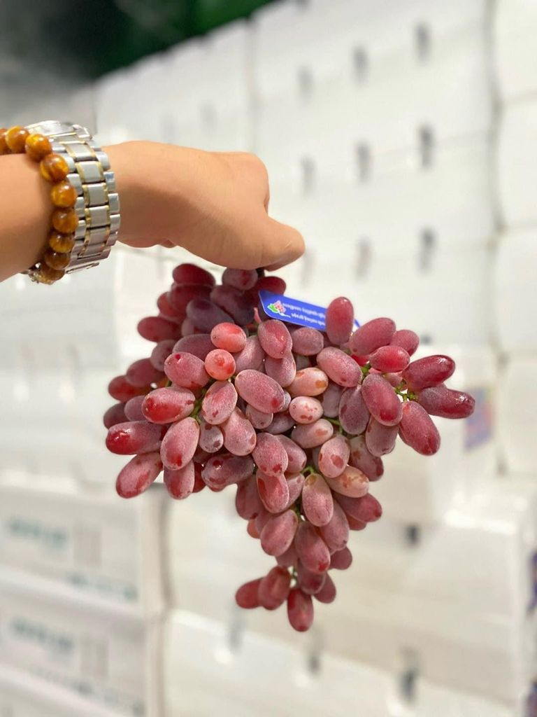 Nho Đỏ Dài Crimson – Hộp 900gr