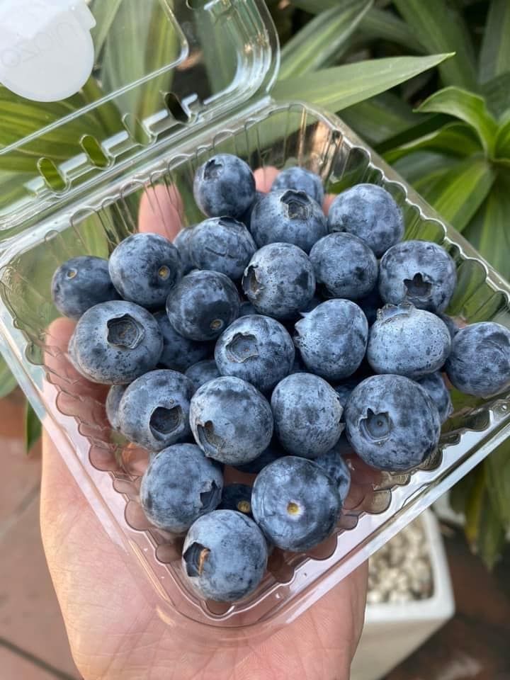 Việt Quất Peru - 125g