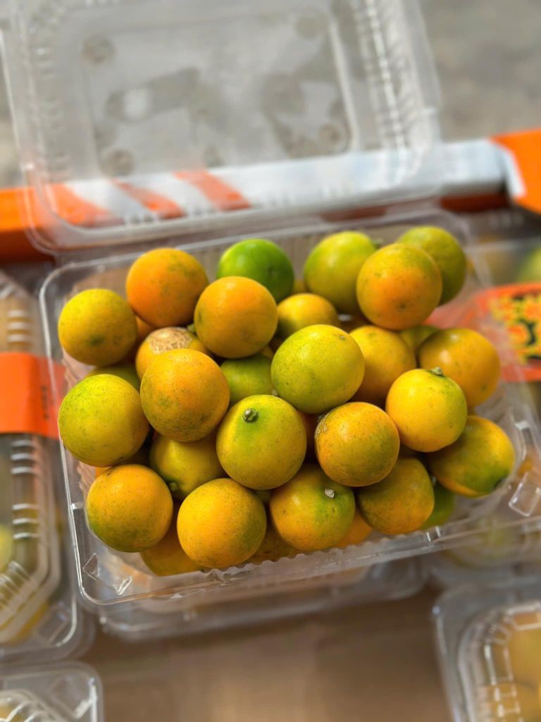 Kim Quất Đài – Hộp 350gram