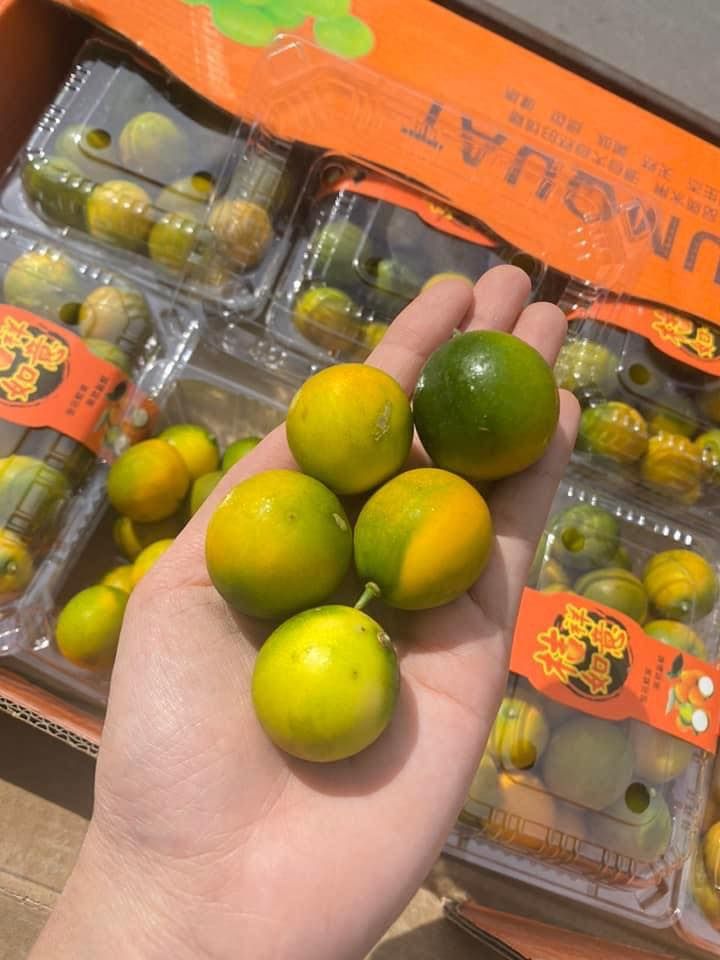 Kim Quất Đài – Hộp 350gram