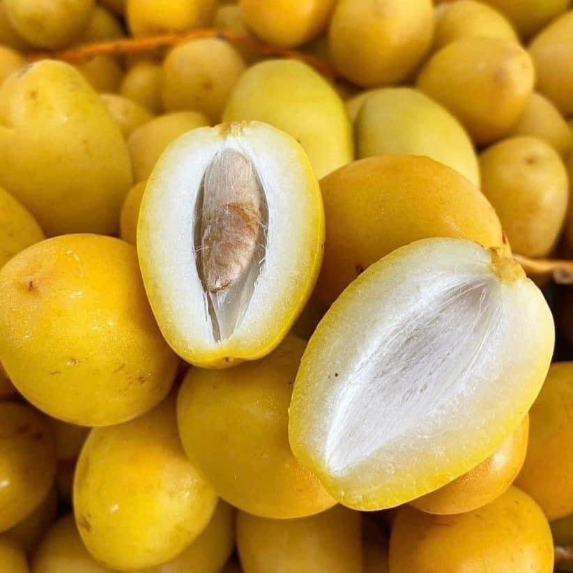 Chà Là Tươi - 500G