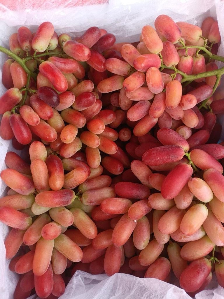 Nho Đỏ Dài Crimson – Hộp 900gr