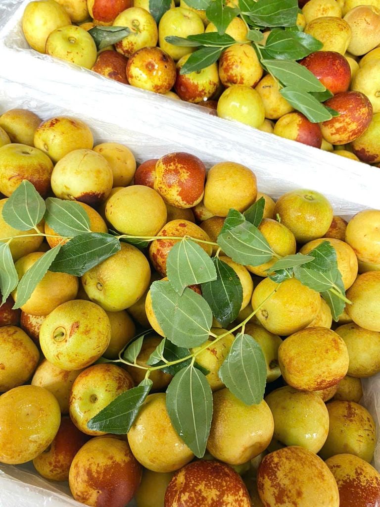 Hồng Táo Tươi Vip - 500G