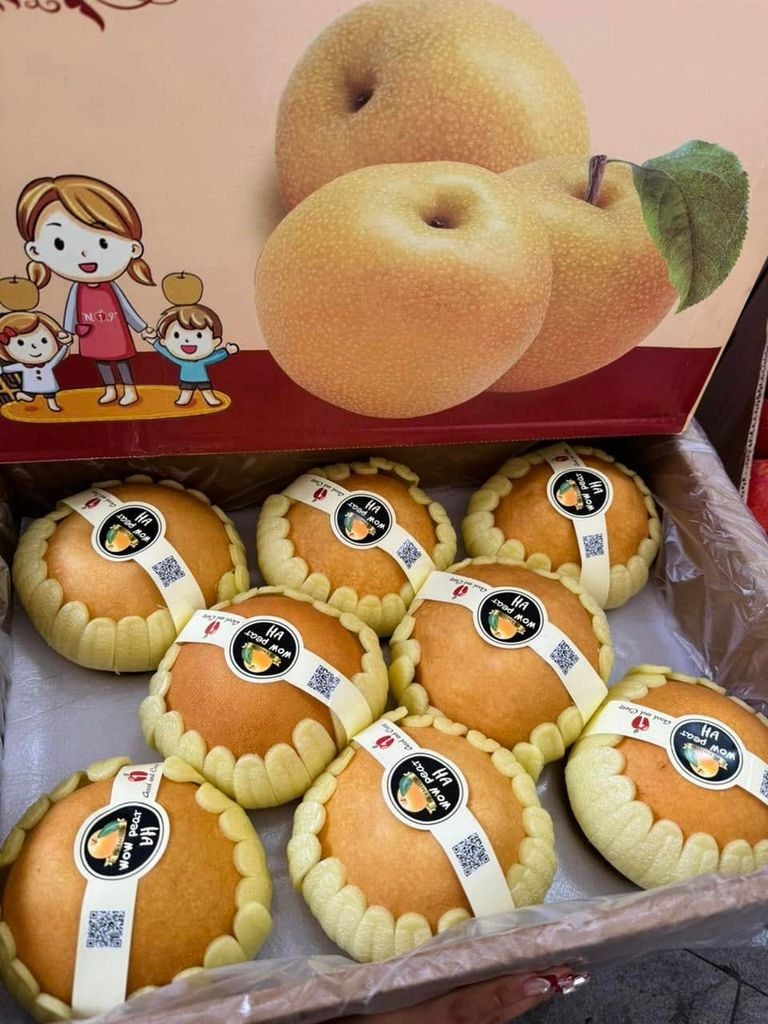 Lê Nâu Vip S8 Giòn Ngọt - Thùng 5KG