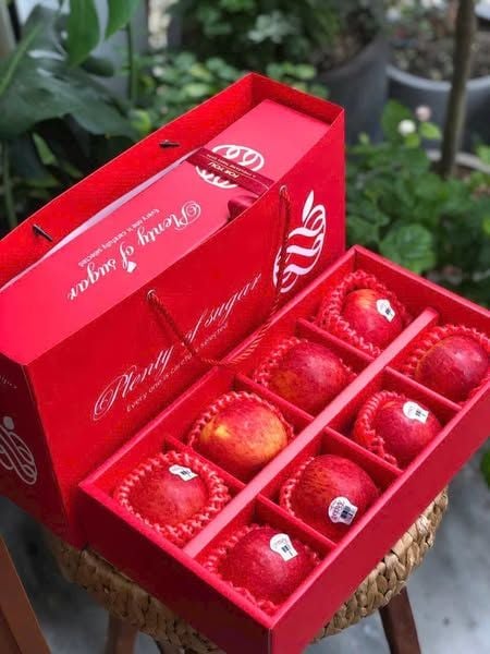Hộp Quà Tặng Táo Envy New Zealand Cao Cấp Kèm túi Đựng