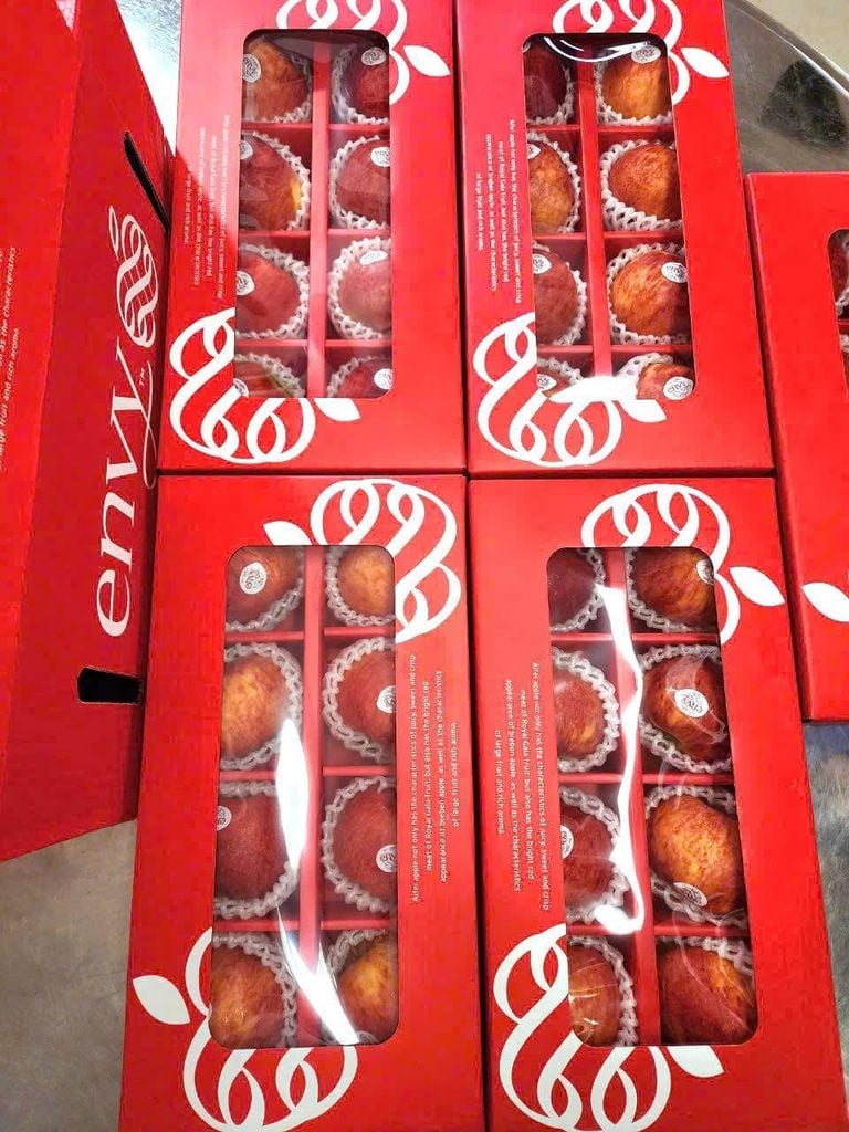 Hộp Quà Tặng Táo Envy New Zealand Cao Cấp Kèm túi Đựng