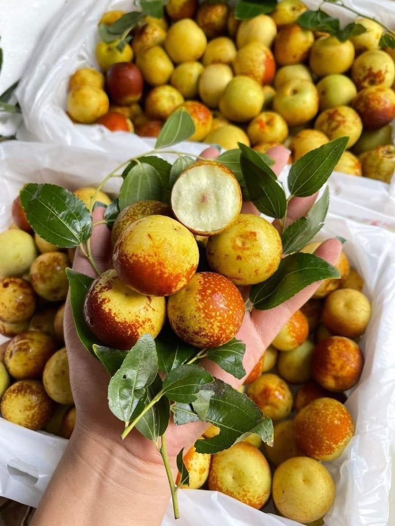 Hồng Táo Tươi Vip - 500G