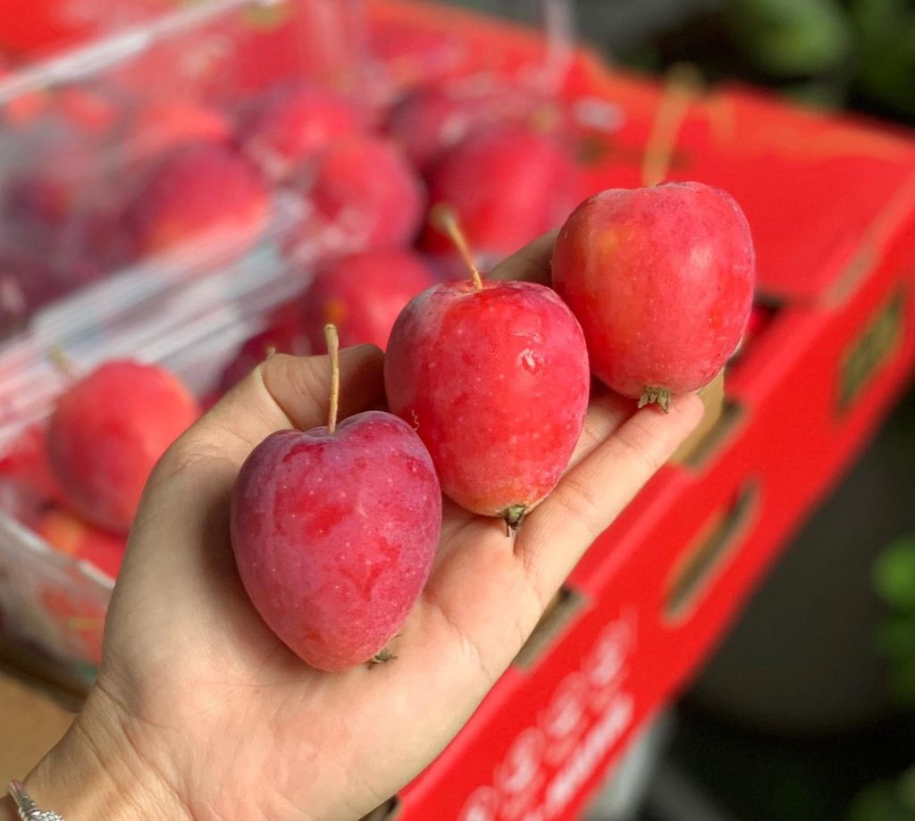 Táo Cherry - Hộp Khoảng 500g