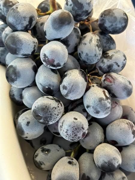 Nho Đen Giòn Ngọt – 900g