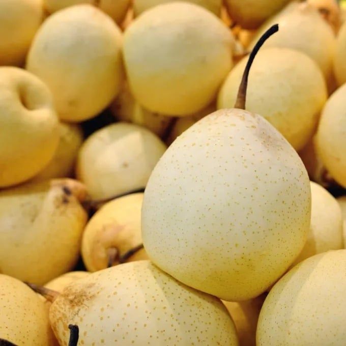 Lê Đường Panda - Kg